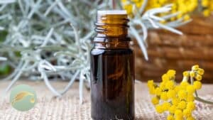 helichrysum essential oil user guide